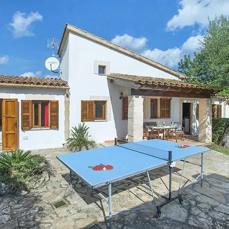 Owl Tarongers - For Couples