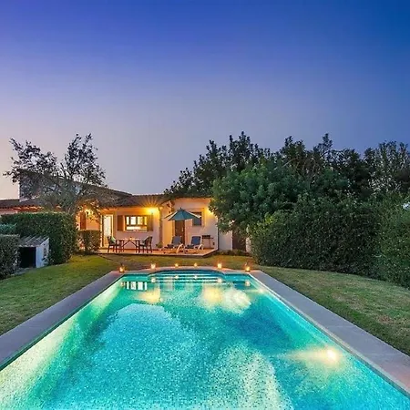 Owl Tarongers - For Couples