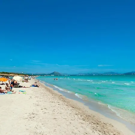 Owl Tarongers - For Couples