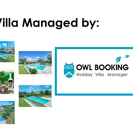 Owl Tarongers - For Couples *