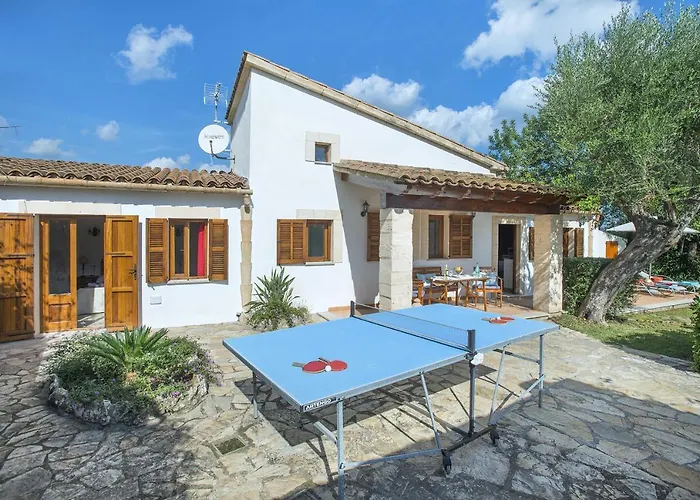 Owl Tarongers - For Couples