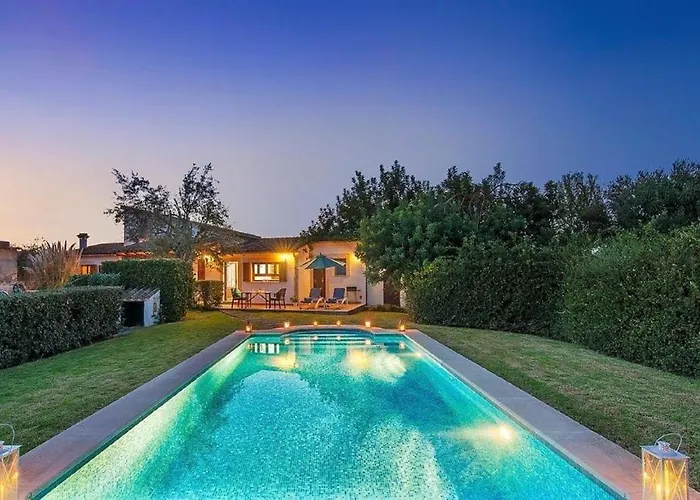 Owl Tarongers - For Couples