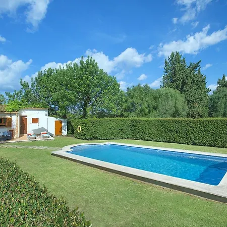 Owl Tarongers - For Couples *