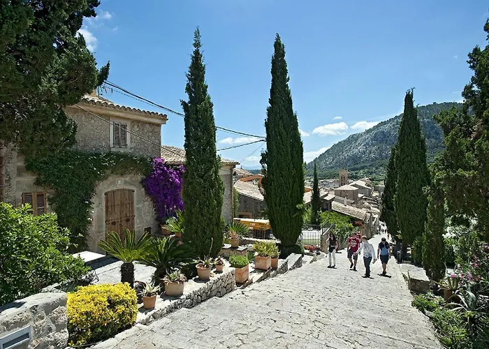 Owl Tarongers - For Couples *