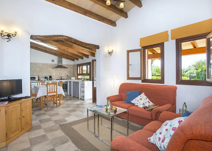 Owl Tarongers - For Couples * بورت دي بوينسا