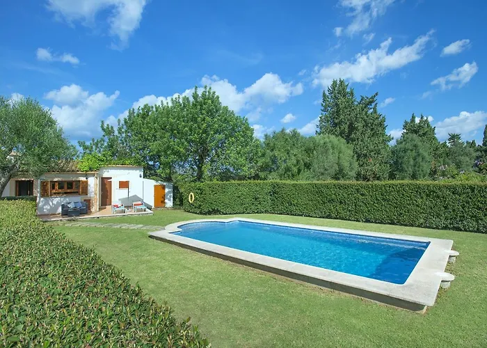 Owl Tarongers - For Couples *