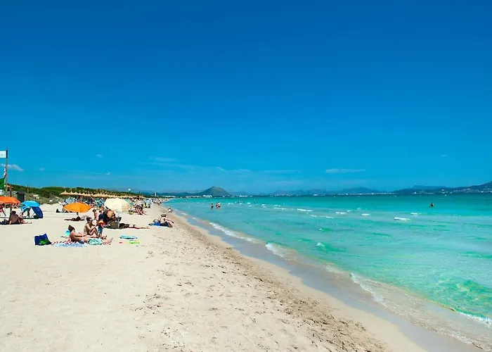 Owl Tarongers - For Couples