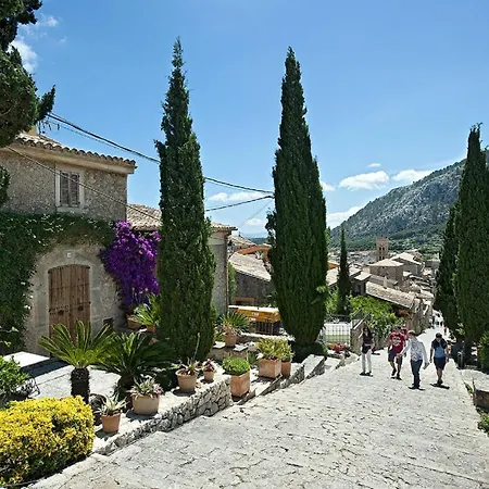 Owl Tarongers - For Couples *